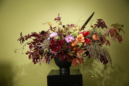 生活分享師必看 花藝設(shè)計零售品牌中的水果產(chǎn)品線梳理