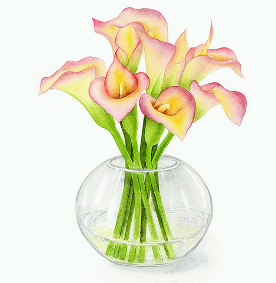 董搞搞水彩作品 馬蹄蓮與水果的清新對(duì)話(huà)