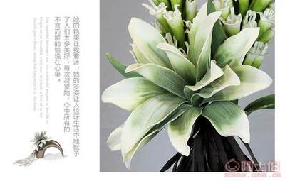 帝恩尼EVA仿真花卉 為現代客廳注入自然之美