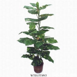 華達(dá)工廠 品質(zhì)卓越的花卉裝飾制造專(zhuān)家